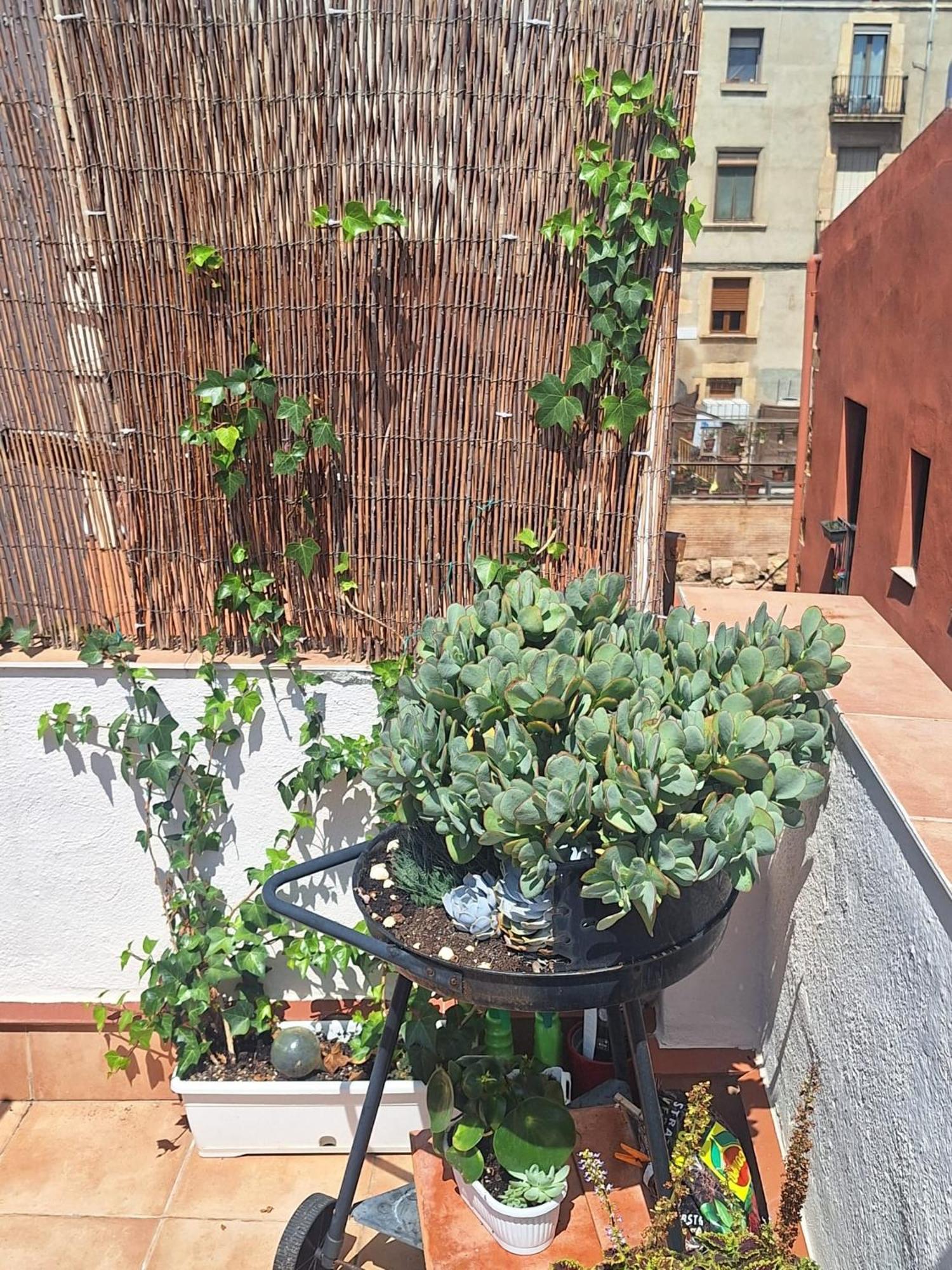 Ferienwohnung El Terrat De La Tecla - Duplex Casc Antic Tarragona Exterior foto